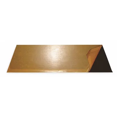FLOWTRON Replacement Adhesive Fly Board: For Use On Flying Insects, Bait Board Trap - Flying Insect Traps