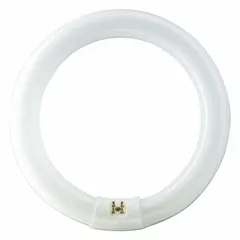 This PHILIPS T9 circular fluorescent lamp features a 4-pin G10q base and an 8-inch diameter. It operates at 22 watts and 61V AC, producing a 6200K cool daylight color temperature. Suitable for general lighting in commercial and industrial spaces such as offices, warehouses, and retail areas.