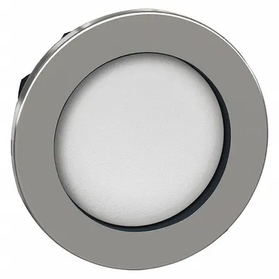SCHNEIDER Push Button Head: 30 mm Panel Size, Non-Illuminated, Metallic - Heads for Push Buttons
