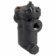 Cast-iron inverted-bucket steam trap for horizontal in-line installation. 3/4-inch FNPT connections. Maximum capacity 760 lb/hr at 250 psi. Built-in strainer included. Used to remove condensate from steam lines in industrial heating and process systems.