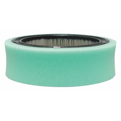 BALDWIN FILTERS PA30189 Round/Oval Engine Air Filter - Round/Oval Engine Air Filters