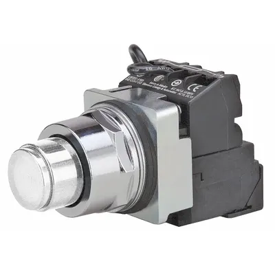 Siemens Illuminated Push Button: Illuminated, Extended Profile, Non-Metallic, 30 mm - Illuminated Extended-Length Push Buttons