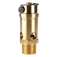CONRADER Safety Valve: Soft Seat, 1 in (M)NPT Inlet (In.), 1 in (F)NPT Outlet (In.), Brass, Silicone (MPN SRV765-1-200 SST)