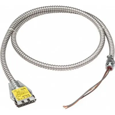 LITHONIA LIGHTING Wiring Dropcable: 9 ft Lg, 7/16 in Wd, 2 1/4 in Ht - Converters & Cables for Bay Lights