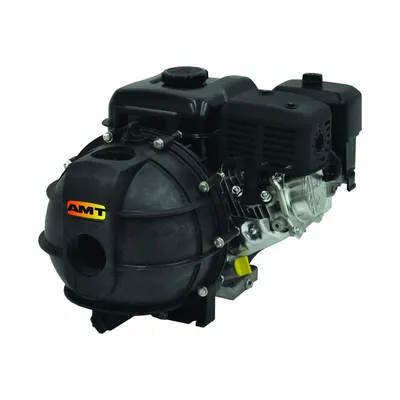 IPT PUMPS Engine Driven Pump: 5 hp, 2 in FNPT, 2 in FNPT, 176 gpm Flow Rate @ 20 Ft. of Head - Engine-Driven Water Pumps