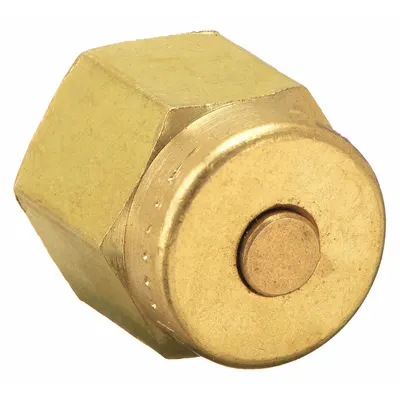 PARKER Compression Fitting Plug: 1/8 in OD Size, Compression, Brass - Single-Ferrule Brass Compression Fittings