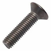 Machine Screw: M6x1.00 Thread Size, 25 mm Lg, Grade 2, Titanium, Plain, Flat, Phillips (MPN 0107523)