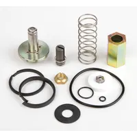 ASCO Valve Rebuild Kit (MPN 302303)