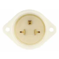Straight Blade Inlet: 5-15P, White, 125V AC, 15 A, 2 Pole, 3 Blade (MPN 5278)