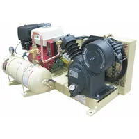INGERSOLL RAND Stationary Air Compressor: 2 Stage, 13 hp Engine, Honda, 17.2 cfm, 4 gal Air Tank (MPN 2475X13GH)