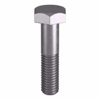 Heavy Hex Bolt: Stainless Steel, Grade B8M, Plain, 1/2"-13 Thread Size, 2 1/4 in lg, 5 PK (MPN ZBOLT-5081)
