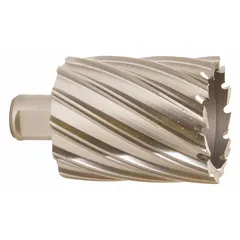 This high-speed steel annular cutter produces clean, burr-free holes in metal for general cutting applications. With a 2 13/16 in cutter diameter and 2 in maximum cutting depth, it features a bright finish and Weldon Flat shank. Suitable for structural steel fabrication, shipbuilding, and heavy equipment maintenance.