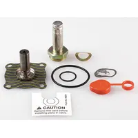 ASCO Valve Rebuild Kit (MPN 302276-VH)