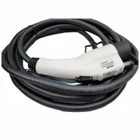This cable set is a Level 2 electric vehicle charging accessory for fleet and vehicle maintenance applications. It features a 12 ft length and black construction, rated for 48A. Suitable for connecting charging stations to vehicles in commercial or depot environments