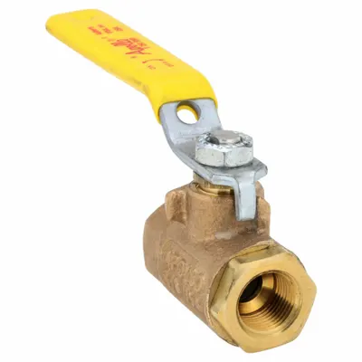 APOLLO Manual Two-Way Ball Valve: 3/8 in, Bronze, Straight, FNPT x FNPT - Bronze Ball Valves