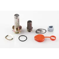 ASCO Valve Rebuild Kit (MPN 302058)