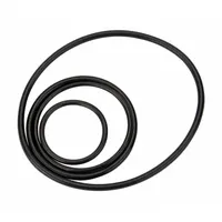 GPI Replacement Seal Kit: Repl Seal Kit, Mfr Part # 133504-1