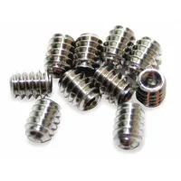 ACORN Hex Head Set Screw: Compatible Product Type Showerheads, 1/8 in Overall Wd, (10) Screws, 10 PK (MPN 0181-011-001)