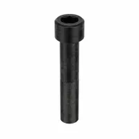Socket Head Cap Screw: M20x2.50 Thread Size, 100 mm Lg, Std, Black Oxide, Alloy Steel, 25 PK (MPN M20C100KCS)