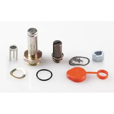 ASCO Valve Rebuild Kit (MPN 302116) - Repair Kits for Solenoid Valves