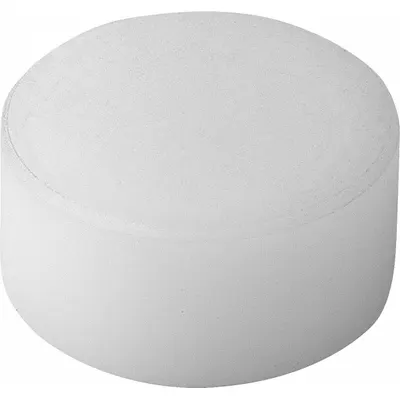 KIPP Rear-Mount Insert w/Flat Face: 20 mm Dia, M6, 10 mm Ht, Smooth - Rear-Mount Acetal Inserts with Flat Face