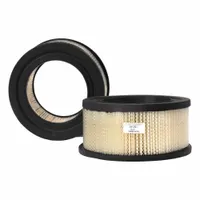 FLEETGUARD Automotive Air Filter: Round-Oval, Engine, Axial Seal, 6 5/8 in Outside Dia, Cellulose (MPN AF291)