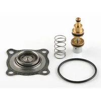 ASCO Valve Rebuild Kit (MPN 182032)