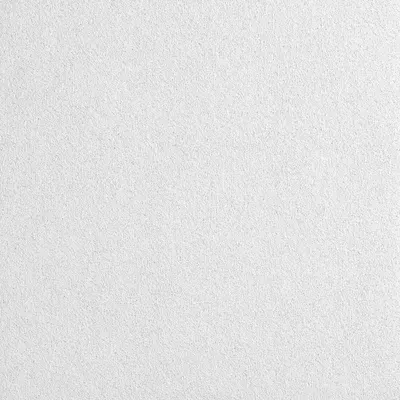 ARMSTRONG Ceiling Tile: 2820A, Calla, 24 in x 24 in, Square Lay-In, 15/16 in Grid Size - Sealed System Tiles for Isolation Rooms