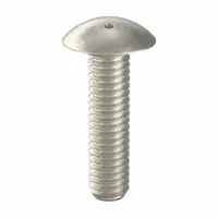 Tamper Resistant Screw: 5/16"-18 Thread Size, 1 1/4 in Lg, Stainless Steel, Plain, Truss, 10 PK (MPN 6002080)