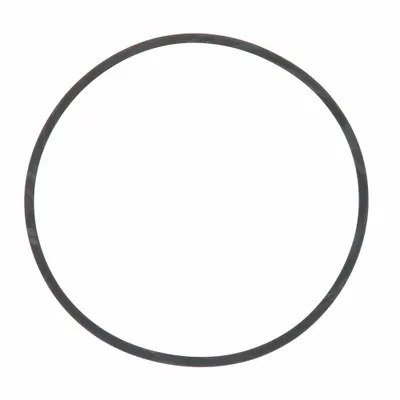 FLINT & WALLING Gasket: For Booster Pump - Seal Kits & Gaskets for Booster Pumps