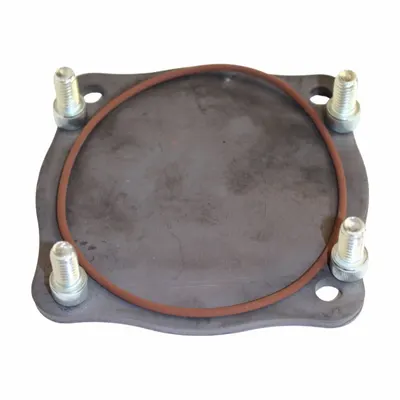 PIUSI Bypass Valve R21411000 for EX100 Fuel Pump - Pump Rebuild Kits