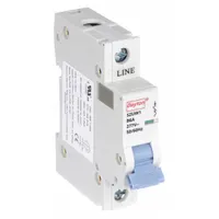DAYTON IEC Supplementary Protector: 6 A Amps, 5kA at 277V AC, Screw Clamp, NDB2-63, 277V AC, B (MPN 5ZUW1)