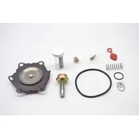 ASCO Valve Rebuild Kit (MPN 302340)