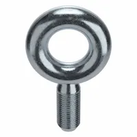 Machinery Eye Bolt: Without Shoulder, Steel, Zinc-Plated, 2"-4 1/2 Thread Size, 4 in Thread Lg (MPN K2016-ZN)