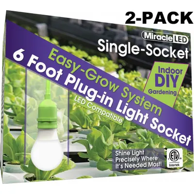 MIRACLE LED Ready Corded Ligh,Single Socket,PK2: 1 Lightheads, Medium Screw (E26), 6 ft Lg - Single Light String Fixtures