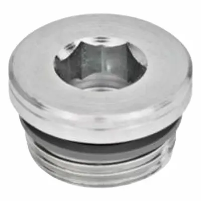 JW WINCO Threaded Plug: Steel, FPM Seal, Metric Fine, M42x2 Thd, Internal Hex - Steel Threaded Plugs