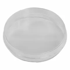 Polystyrene Petri dish with tissue culture treated surface for cell adhesion and growth. Diameter 145.36 mm, overall height 21.46 mm. Suitable for cell culture, microbial assays, and laboratory research.