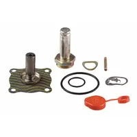 ASCO Valve Rebuild Kit (MPN 302276)
