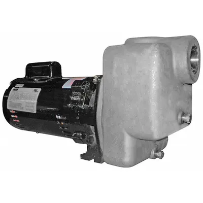 Dayton Centrifugal Pump: Self-Priming, 115/230V AC, 90 ft Max Head - 1/8 to 1 HP Self-Priming Centrifugal Pumps