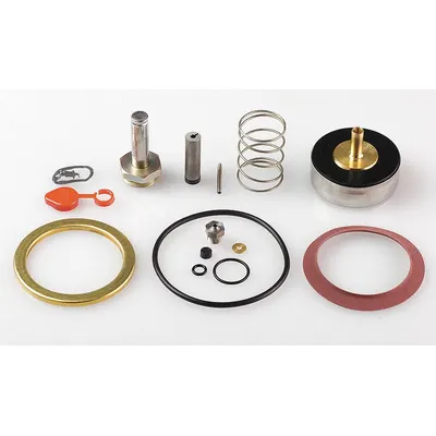 ASCO Valve Rebuild Kit (MPN 310388) - Repair Kits for Solenoid Valves