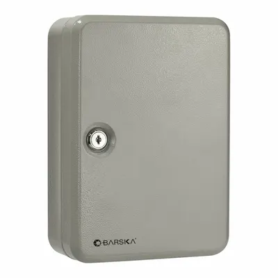 BARSKA Key Cabinet: 48 Key Capacity, Single Key Lock, Steel, Gray, 10 in Ht, 7 in Wd - Key Cabinets with Key Lock