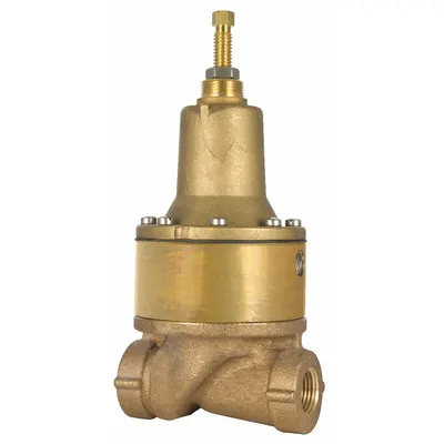 WATTS Pressure Reducing Pilot: CP16 - Plumbing